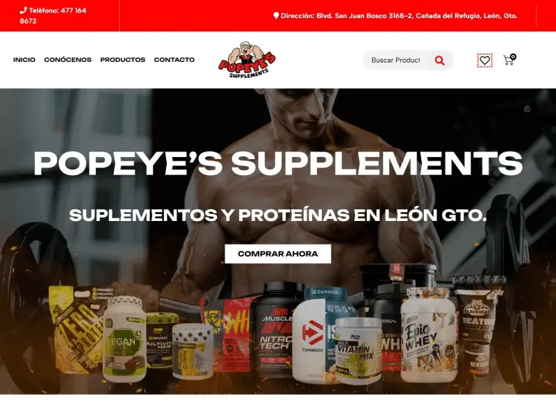 diseñadores web cancun